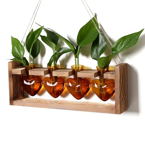 Plant Propagation Stations Heart Plant Terrarium Kit Gift for Women Plant Lover Glass Vases - color: Amber