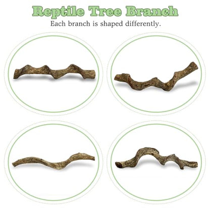 Reptile Climbing Branch with Cork Branch for Reptiles Climbing Branches 2 Pack Natural Tree Frog Cork Wood Stick Crested Geckos Habitat Decor