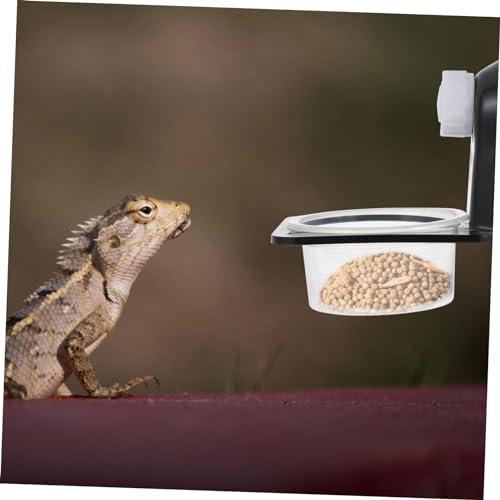 Toddmomy 1set Reptile Food Bowl Cup for Gecko and Lizard Material Feeder Waterfall for Escape Worm Dish