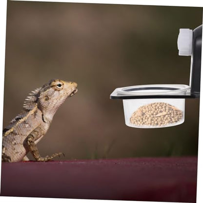 Toddmomy 1set Reptile Food Bowl Cup for Gecko and Lizard Material Feeder Waterfall for Escape Worm Dish