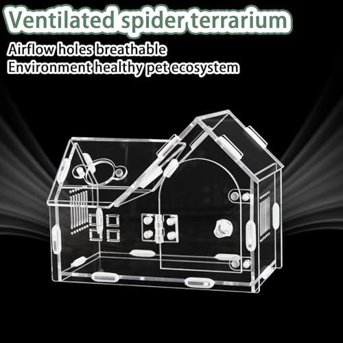 Acrylic Jumping Spider Enclosure with Magnetic Door - Transparent Tarantula Terrarium for Pet Spiders - Secure & Ventilated Reptile Habitat for Hermit Crabs, Geckos, and Small Insects