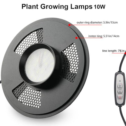 Desktop Glass Plant Terrarium with Grow Light(L7.8 W7.8 H14), for Succulent, Moss, Miniature Gardening Landscape, Betta Fish Tank, Indoor Plant Growth, Office Home Decoration (TimeControlled)