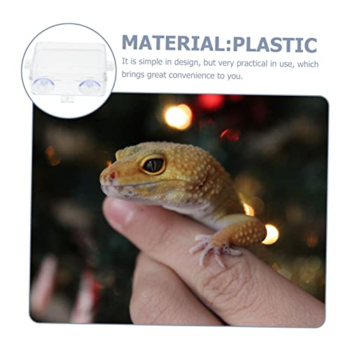 BESPORTBLE 2PCS Reptile Feeding Bowls Suction Cups Washable Lizard Food and Water Dishes Escape-Proof Reptile Feeders for Bearded Dragons Geckos Tortoises