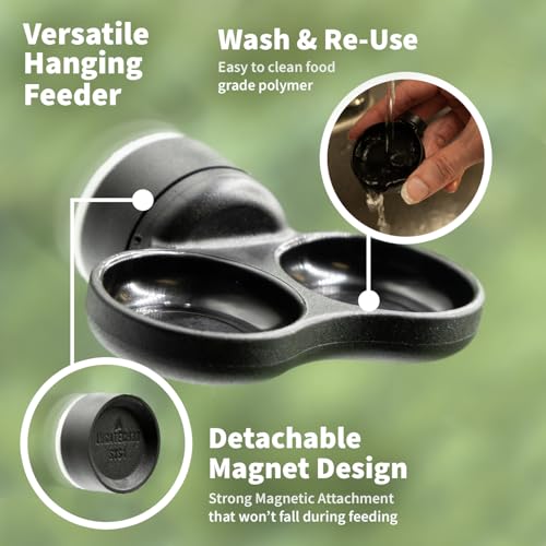 Pangea Microdish Kit for Micro Gecko Food, Mini Water Bowl for Tiny Reptiles and Other Small Pets, Magnetic Attachment Dots Included 1.25in (XS Dual Surface Mount) - size: XS Dual Surface Mount