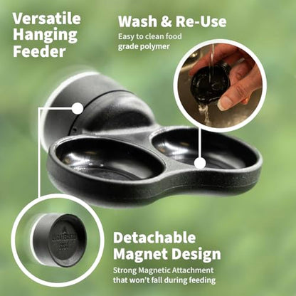Pangea Microdish Kit for Micro Gecko Food, Mini Water Bowl for Tiny Reptiles and Other Small Pets, Magnetic Attachment Dots Included 1.25in (XS Dual Surface Mount) - size: XS Dual Surface Mount