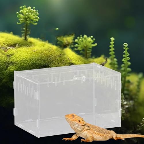 Reptile Breeding Box Terrarium Habitat Tank Transparent Acrylic Enclosure with Ventilation Holes for Snakes Frogs Turtles Geckos Small Animals- 25x15x15cm