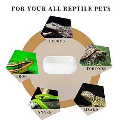 Ceramic Reptile Food Bowls, Reptile Water Food Dish (White, Small 2-Pack)