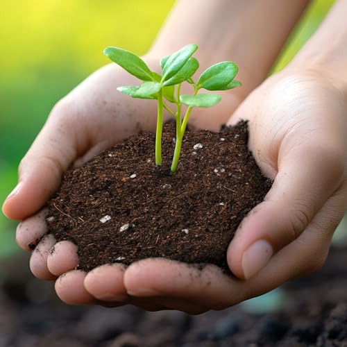 Doter Seed Starter Potting Soil Mix 1qt, Seed Starting Mix for Germination and Growth, Loamy Compost Well-Drainaged Soil Fit for Vegetable, Flower, houseplant - size: 1qt