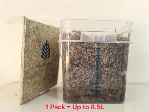 Premium Long Fiber Sphagnum Moss, 8OZ Natural Dried Moss for Reptile Terrarium Substrate, Snake, Gecko, Ball Python, Frog and Orchids