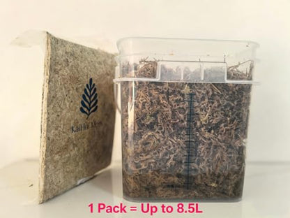 Premium Long Fiber Sphagnum Moss, 8OZ Natural Dried Moss for Reptile Terrarium Substrate, Snake, Gecko, Ball Python, Frog and Orchids