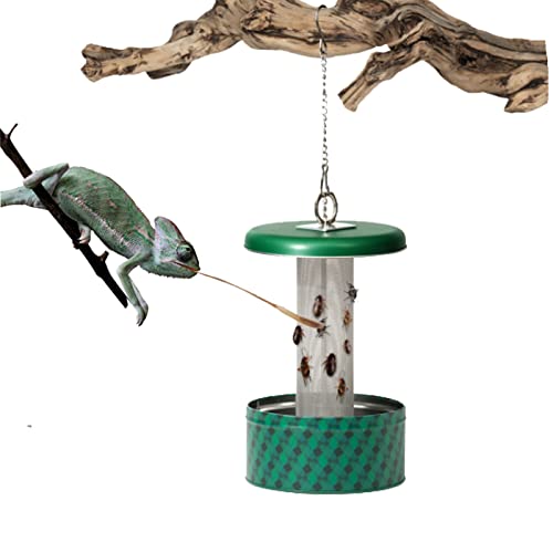 Chameleon Feeding Bowl,Hookable Lizard Feeder with Metal Mesh Column for Prey to Climb and Move,Suitable for Lizard, Iguana, Gecko,Bearded Dragon - color: Green