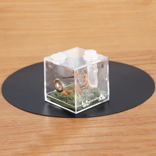 Jumping Spider Micro Middle Habitat, Small Pet Insect Breeding Box, 360 Degree Transparent Reptile Cage, Acrylic Case Mini Carrier for Amphibians, Feeding Container Enclosure Accessories - size: 2x2x2.1inches
