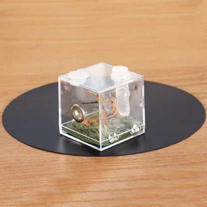 Jumping Spider Micro Middle Habitat, Small Pet Insect Breeding Box, 360 Degree Transparent Reptile Cage, Acrylic Case Mini Carrier for Amphibians, Feeding Container Enclosure Accessories - size: 2x2x2.1inches