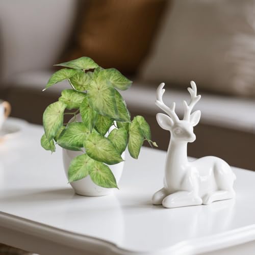 Reptile Plants for Terrarium, Amphibian Habitat Decor Artificial Hanging Plants Fake Plastic Leaves Stems UV Resistant Bunches Faux Plants Bushes for Home Decor (Arrow-Head Vine Light Green) - color: Arrow-head Vine Light Green