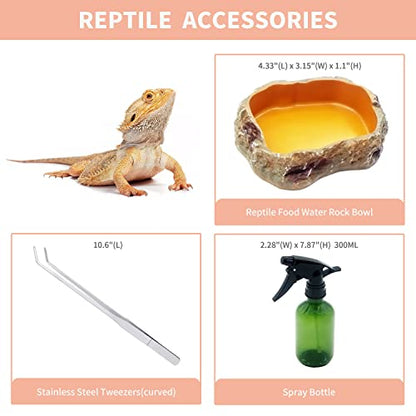 Reptile Growth Reptile Terrarium,10 Gallon Reptile Tank 20" x 10"x 11",for Insect，Fish，Tarantula，Hermit Crab，Jumping Spider，Iguana，Tortoise，Leopard Gecko，Bearded Dragon - size: 20" x 10"x 11"