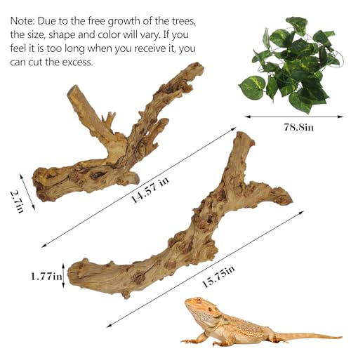 VCEPJH Reptile Bark Bedding Cork Bark for Reptiles Flat Cork Wood and Reptile Wood Branches, Snake Climbing Branch for Gecko Spider