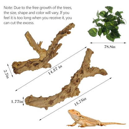 VCEPJH Reptile Bark Bedding Cork Bark for Reptiles Flat Cork Wood and Reptile Wood Branches, Snake Climbing Branch for Gecko Spider