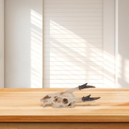 Reptile Skull Hideout Resin Cave Medium Turtle Habitat Terrarium Decoration for Gecko Lizard Snake Tank Accessories