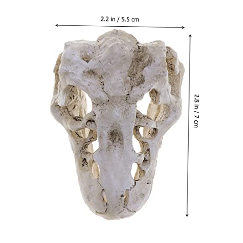 Resin Reptile Pet Skull Hide Skull for Reptile Tank Accessories Fish Tank Decor