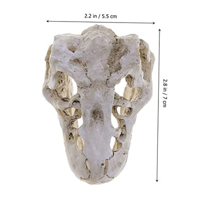 Resin Reptile Pet Skull Hide Skull for Reptile Tank Accessories Fish Tank Decor