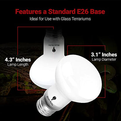 4 Pack 75-Watt Basking Light for Reptiles & Amphibians - Heat Lamp Bulbs for Glass Terrariums, Suitable for Bearded Dragons, Lizards, Iguanas - Broad Spectrum Reptile Basking Bulb