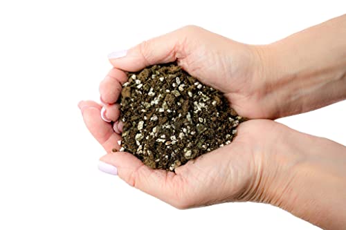 Premium African Violets and Gesneriad Premium Soil Mix by Gardenera - Horticultural Perlite, Vermiculite, Sphagnum Peat Moss - Made in USA - (2 Quart) - color: AFRICAN VIOLETS SOIL, size: 2 Quart