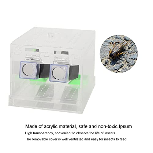 Cricket Keeper with Tubes, High Transparency Acrylic Material Cricket Keeper for Office for Home(L)