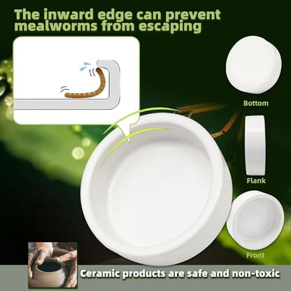 Escape-Proof Reptile Food Dish Bowl, Ceramics Small Animal Bowls for Lizard Frog Snake Turtle Gecko Hamster Food Bowl for Anti Living Foods Escape, Reptile Water Dish (L,3.93inches) - size: L,3.93inches