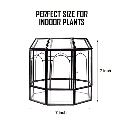REDHUGO Large Glass Terrarium Handmade, Centerpiece Display Box Gift Planter Containers Indoor Terrariums House for Succulent Cacti Air Plants Miniature Fairy Garden - color: Black