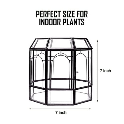 REDHUGO Large Glass Terrarium Handmade, Centerpiece Display Box Gift Planter Containers Indoor Terrariums House for Succulent Cacti Air Plants Miniature Fairy Garden - color: Black