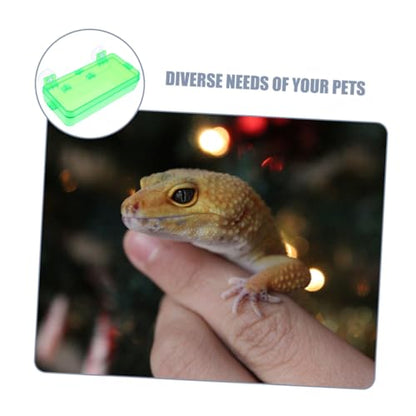 Toddmomy Secure Reptile Water Basin Insect Feeder for Bearded Dragon Gecko Snake Easy to Install Suction Cup Bowl - color: Light Green, size: 9.00X6.00X3.50CM