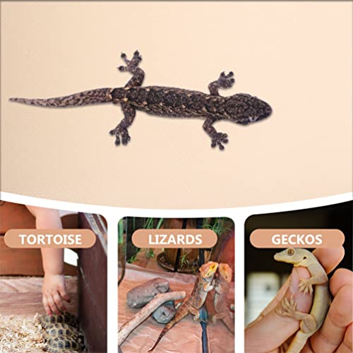 Ipetboom Eva Reptile Carpet Mat for Tortoise and Snake Soft Non-Absorbent Bedding for Bearded Dragons Lizards and Leopard Geckos Large Terrarium Liner Reptile Accessories