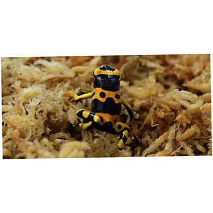 Sphagnum Moss Dried Spagnum Dry Moss for Reptiles Bedding and Terrarium Pet Supplies 150g