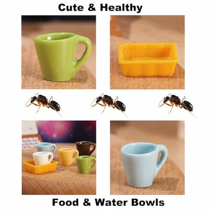 Spider Micro Water Bowl, 3 Pack Mini Liquid Feeder Ant Bowl, Ant Farm Water Feeder, Small Insect Water Bottle, Food Bowl Tarantula Mini Dish for Millipede Tiny Bugs Reptiles