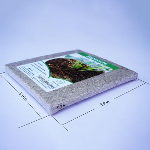 2QT Anthurium Potting Soil, Professionally Formulated Lightweight, Persistent Humidity, Fast Draining Potting Soil