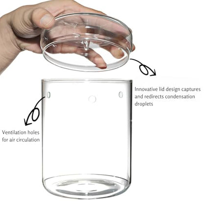 Small Glass Terrarium Jar with Lid – 4.7 x 7 Inch Closed Plant Terrarium for Succulents, Moss, Venus Fly Trap & Self-Sustaining Ecosystems – Ideal Indoor Decor for Home & Tabletop