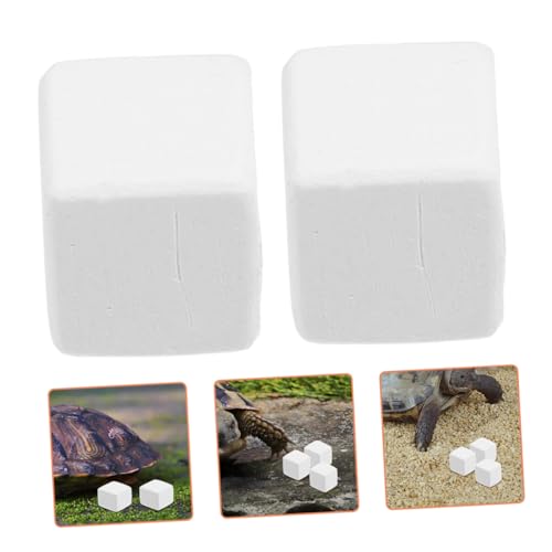 12pcs Crab Mineral Block Natural Reptile Calcium Blocks Grinding Aid for Reptiles Tortoises Lizards and Frogs Chemical- Healthy Habitat Accessories