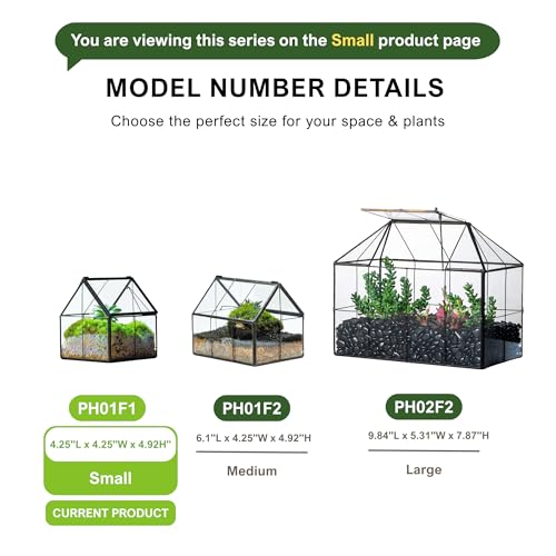 NCYP Mini Glass Terrarium with Lid - 4.25" x 4.25" x 4.92" House Shape Close Geometric Planter Pot for Mini Succulents Plant, Moss - Handmade, Home Garden Office Decor, Black (Terrarium Only) - size: 4.25x4.25x4.92 inches
