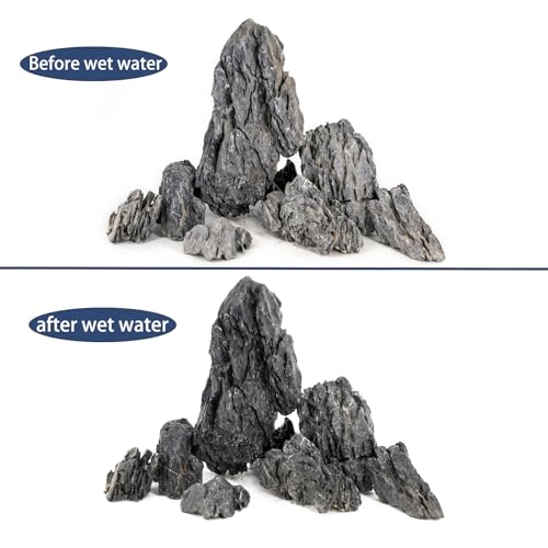 Seiryu Stone Natural Stone Rocks Fish Tank Decor Rocks for Aquariums Landscaping Model Tank Decoration Aquarium Miniature -20lb (2-8 inch) - size: 20Lb (2-8 inch)