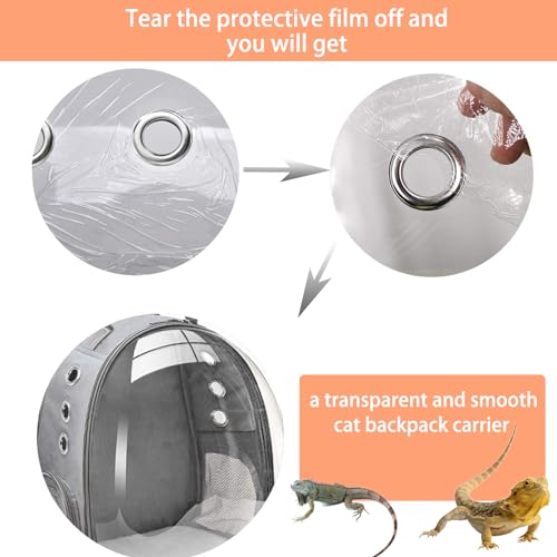 Bearded Dragon Carrier with Harness and Leash Set Large Small Animal Carrier Backpack Bubble Window Portable Small Pet Carrier for Reptile Lizard Rabbit Bird Guinea Pig Cat Travel Walking - color: Bearded Dragon Carrier
