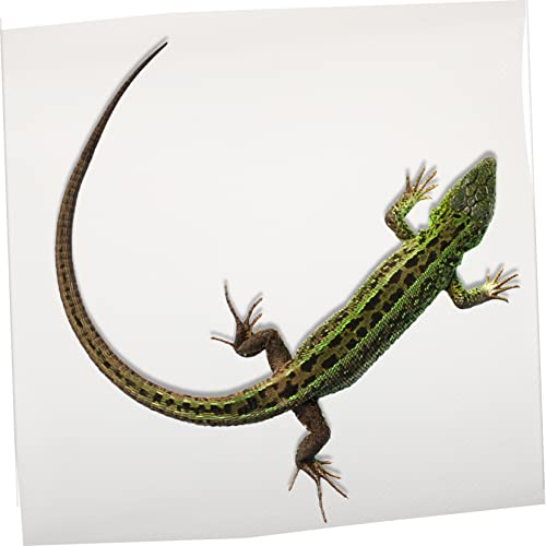 Reptile Carpet Terrarium Liner for Gecko Tortoise Bearded Dragon Snake Washable Reptile Bedding Mat