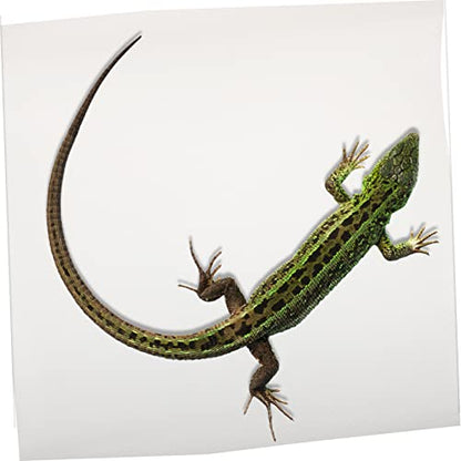 Reptile Carpet Terrarium Liner for Gecko Tortoise Bearded Dragon Snake Washable Reptile Bedding Mat