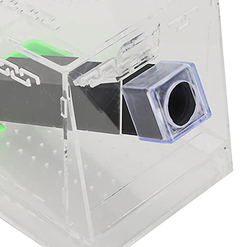 Acrylic Cricket Feed Box with Observation Window for Reptile Terrarium Insect Care Kit, Non-Toxic Material for Easy Cleaning, Tank Box for - size: S