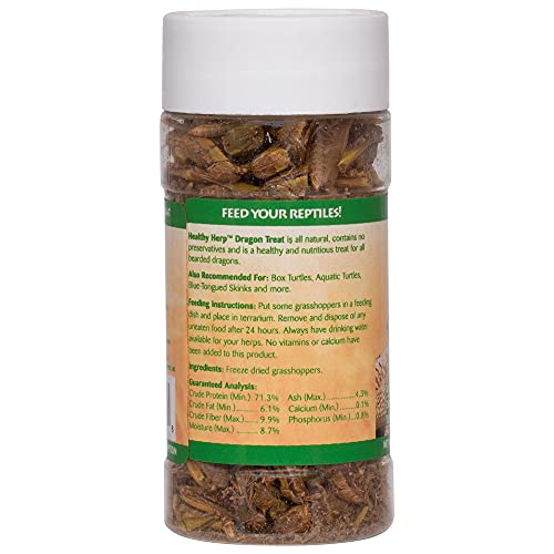 Healthy Herp Dragon Treat Grasshoppers - All Natural, Nutritious Turtle Food, Bearded Dragon Tank Accessories - for Bearded Dragons, Box Turtles, Aquatic Turtles - 0.56 oz (16g)