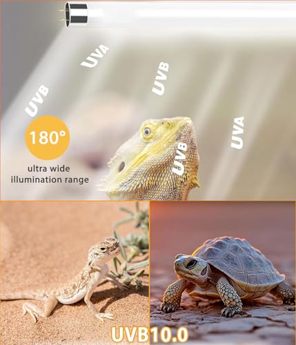 3 Pack T5 10.0 UVB Reptile Light Bulb 8W 12 Inch, UVA UVB Lamp for Bearded Dragons, Chameleons, Turtles, Tortoises, Lizards - Desert & Tropical Reptiles - size: 8W T5 Tube