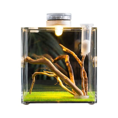 Reptile Growth Terrarium - Acrylic Jumping Spider Clear Container, Clearer View Small Pet Enclosure, Practical Convenient Spacious Habitat, Durable Housing Design Versatile Use | for Snails Lizards Be - color: Aqua Blue