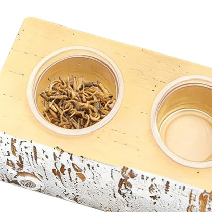 Gecko Feeding Ledge - Magnetic Feeder with 10 Feeding Cups - Reptile Water Bowls Feeder Ledge - for Pets Crabs Turtle Spider Bearded Dragon Frogs Centipede Small Animal