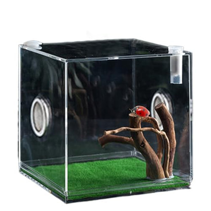 Acrylic Jumping Spider Terrarium - Reptile Growth Clear Container, Clearer View Small Pet Enclosure, Practical Convenient Spacious Habitat, Durable Housing Design Versatile Use | for Snails Lizards Be - color: Ash Green