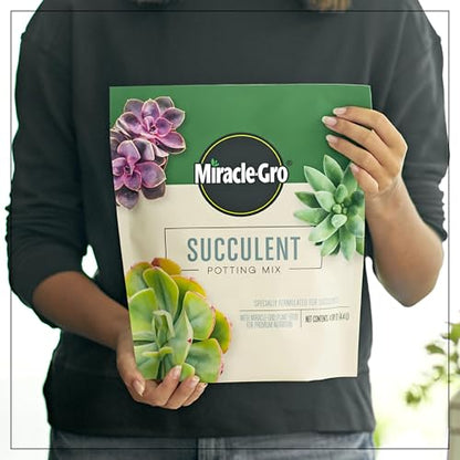 Miracle-Gro Succulent Potting Mix, 4 qt. | For Indoor Succulents, Aloe Vera and More, Made with Miracle-Gro Plant Food - size: 1 Pack, style: Succulent