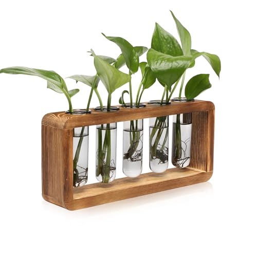Glass Plant Propagation Station with 5 Test Tubes Colorful Planter Vase Birthday Gifts for Women in Wooden Stand - color: Gray